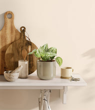 Load image into Gallery viewer, Sage Green
