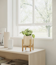 Load image into Gallery viewer, Almond Green stand:bamboo
