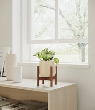 Load image into Gallery viewer, Almond Green stand:walnut
