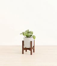 Load image into Gallery viewer, Hammered Ivory stand:walnut
