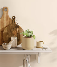 Load image into Gallery viewer, Almond Green

