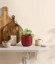 Load image into Gallery viewer, Striped Cherry Red
