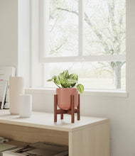 Load image into Gallery viewer, Striped Rose Pink stand:walnut
