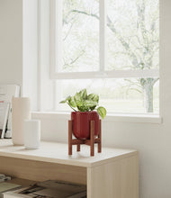 Load image into Gallery viewer, Striped Cherry Red stand:walnut

