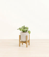 Load image into Gallery viewer, Snowdrift White stand:bamboo
