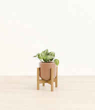 Load image into Gallery viewer, Hammered Peach Pink stand:bamboo
