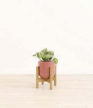 Load image into Gallery viewer, Hammered Rose Pink stand:bamboo
