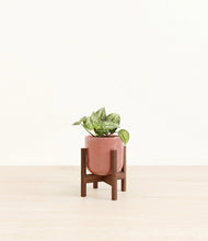 Load image into Gallery viewer, Hammered Rose Pink stand:walnut
