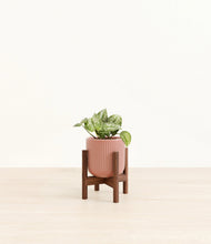 Load image into Gallery viewer, Striped Rose Pink stand:walnut
