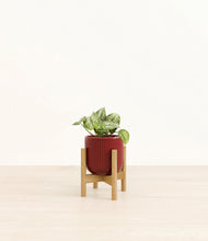 Load image into Gallery viewer, Striped Cherry Red stand:bamboo
