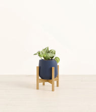 Load image into Gallery viewer, Deep Navy stand:bamboo
