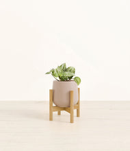 Load image into Gallery viewer, Eternal Gray stand:bamboo
