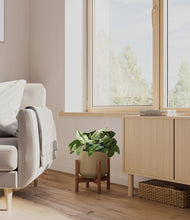 Load image into Gallery viewer, Olive stand:walnut
