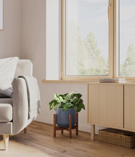 Load image into Gallery viewer, Deep Navy stand:walnut
