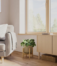 Load image into Gallery viewer, Olive stand:bamboo

