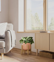 Load image into Gallery viewer, Calm Rose stand:bamboo
