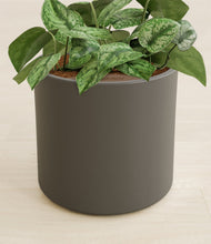 Charger l'image dans la galerie, Dark Olive stand:all
