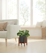 Charger l'image dans la galerie, Dark Olive stand:dark
