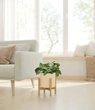 Charger l'image dans la galerie, Cream stand:light
