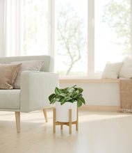 Charger l'image dans la galerie, White stand:light
