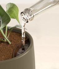 Load image into Gallery viewer, Olive stand:all
