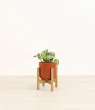 Load image into Gallery viewer, Glossy Red stand:bamboo

