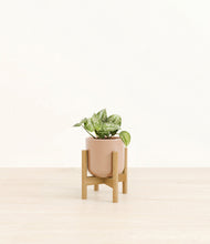 Load image into Gallery viewer, Glossy Pink stand:bamboo

