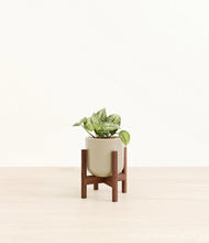 Load image into Gallery viewer, Sage Green stand:walnut
