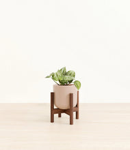 Load image into Gallery viewer, Sandy Pink stand:walnut
