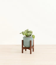 Load image into Gallery viewer, Reactive Aqua stand:walnut

