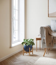 Load image into Gallery viewer, Deep Navy stand:bamboo
