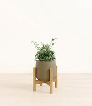 Load image into Gallery viewer, Olive stand:bamboo
