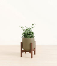 Load image into Gallery viewer, Olive stand:walnut
