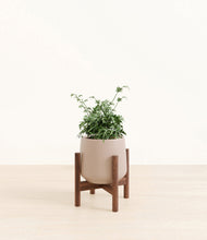 Load image into Gallery viewer, Eternal Gray stand:walnut
