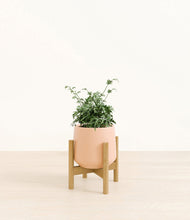 Load image into Gallery viewer, Gentle Pink stand:bamboo
