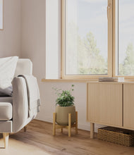 Load image into Gallery viewer, Olive stand:bamboo
