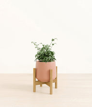 Load image into Gallery viewer, Calm Rose stand:bamboo
