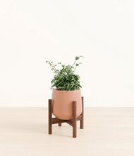Load image into Gallery viewer, Calm Rose stand:walnut
