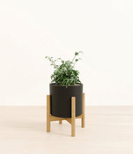 Load image into Gallery viewer, Black stand:bamboo
