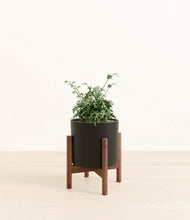 Load image into Gallery viewer, Black stand:walnut
