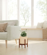 Load image into Gallery viewer, Cream stand:walnut
