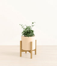 Load image into Gallery viewer, Cream stand:bamboo
