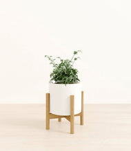 Load image into Gallery viewer, White stand:bamboo
