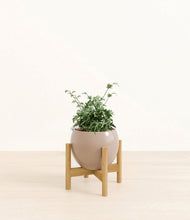 Load image into Gallery viewer, Desert Brown stand:bamboo
