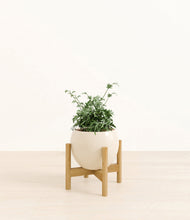Load image into Gallery viewer, Shiny EggWhite stand:bamboo
