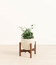 Load image into Gallery viewer, Shiny EggWhite stand:walnut
