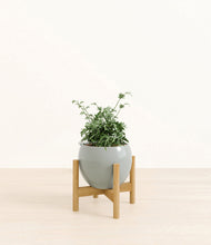 Load image into Gallery viewer, Deep Ocean stand:bamboo
