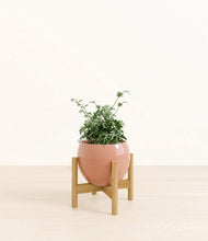 Load image into Gallery viewer, Calm Rose stand:bamboo
