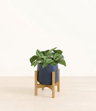 Load image into Gallery viewer, Deep Navy stand:bamboo
