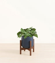 Load image into Gallery viewer, Deep Navy stand:walnut
